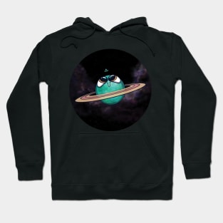 Extraterrestrial Neighbors! Hoodie